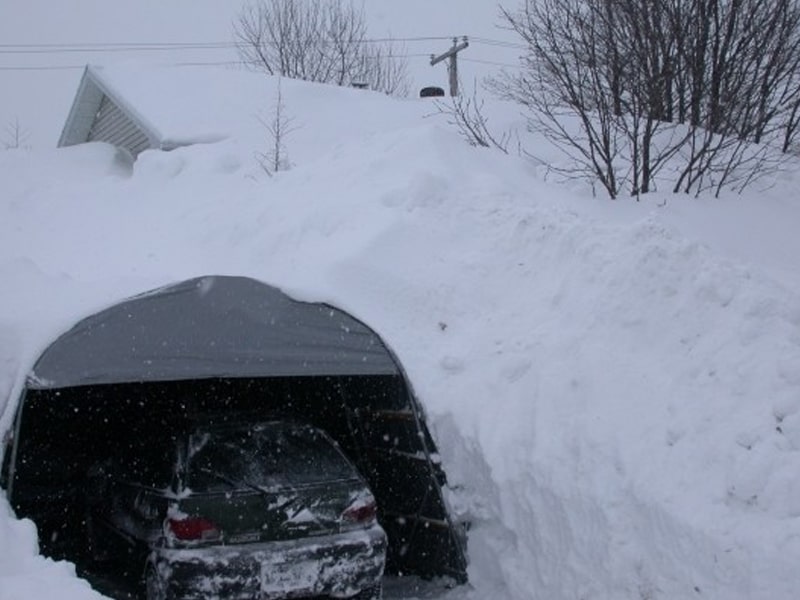 12'W x 40'L x 8'H - (Extended Round Style) - Image 2